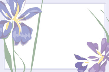 Obraz premium Image of Iris for the boys celebration, Tango no sekku, for greeting 