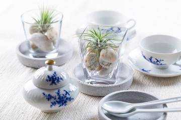 Place setting with Tillandsia airplant as table decoration