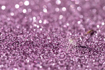 Drops of dew on dandelion seeds.