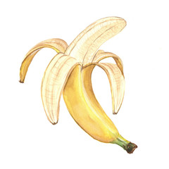 watercolor illustration of a banana on a white background