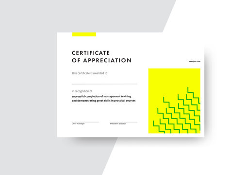 Certificate of appreciation template design. Elegant business diploma layout for training graduation or course completion. Vector background illustration.