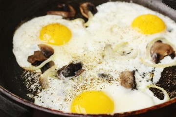 Scrambled eggs with mushrooms and onions macro