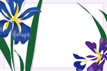 Vector image of Iris, drawing isolated transparent background