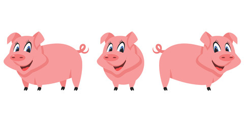 Pig in different poses. Farm animal in cartoon style.