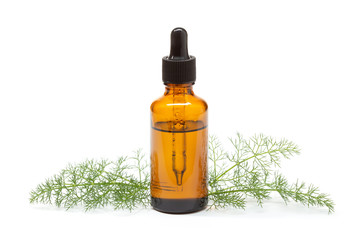 Fennel essential oil on white background. Foeniculum vulgare oil for skin care, aromatherapy and...