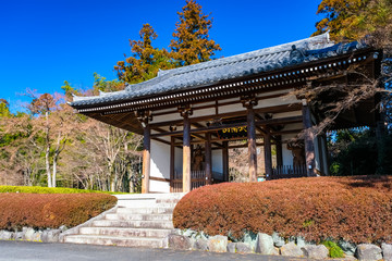 飯能市 能仁寺 山門