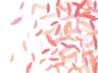 Fototapeta premium Flying feather elements airy vector design.