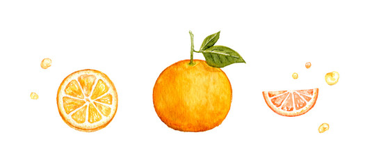 オレンジ　果物　フルーツ　水彩