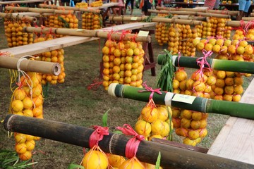 Fête de l'orange à Tahiti