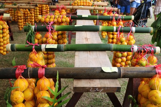 F&ecirc;te de l'orange &agrave; Tahiti