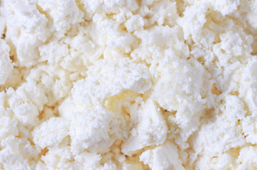 Texture of fresh healthy home-made cottage cheese, macro