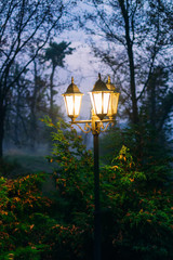 Lantern in the park during the autumn season at evening