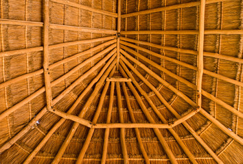 the inside roof of a Mexican palapa ,an open-sided dwelling with a thatched roof made of dried palm leaves
