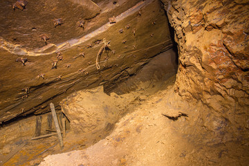 Abandoned underground bauxite mine tunnel with ore pillar