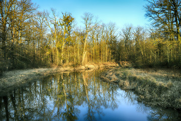WROCLAW, POLAND - MARCH 11, 2020: Natura 2000 is a network of nature protection areas in the...