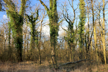 WROCLAW, POLAND - MARCH 11, 2020: Natura 2000 is a network of nature protection areas in the...