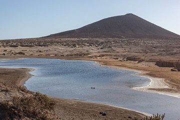 Desert wetlands and red mountain in Roja mount Reserve, Tenerife, Canary Islands, Spain.