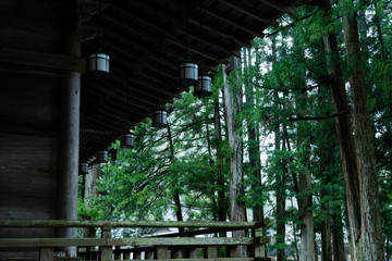 Koyasan, Wakayama 2020.