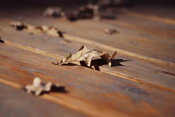 Fototapeta na wymiar Dry oak leaves on an old wooden table