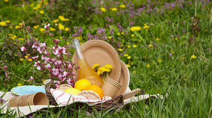 Fototapeta premium Lunch in the park on the green grass. Summer sunny day and picnic basket. With paper utensils. Picnic concept without plastic.
