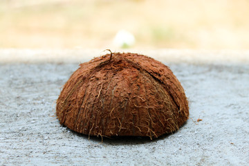 coconut shell cut in half.