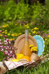 Lunch in the park on the green grass. Summer sunny day and picnic basket. With paper utensils. Picnic concept without plastic.