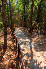 Thailand - Doi Inthanon