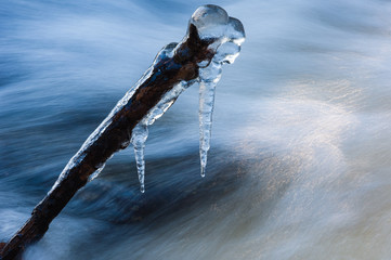 Naklejka premium Icicles on a tree branch at the river.