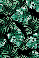 Obrazy  typowy zielony czarny tropikalny wzór
