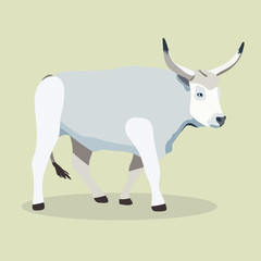 Cattle vector illustration