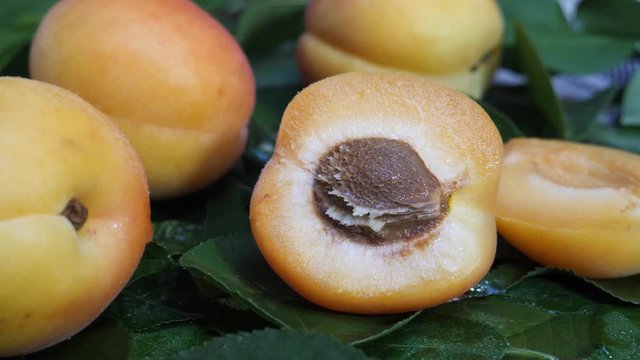 Fresh apricot fruit and half and tree branch on white background. Ripe and healthy food concept