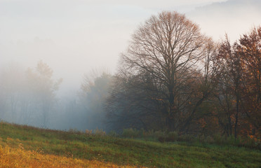 Obraz na płótnie Canvas autumn foggy morning in bieszczady mountains