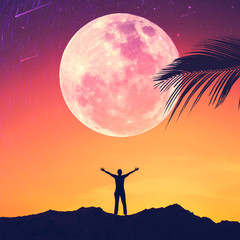 Man raise hand up on sunset sky with full moon and palm leaf abstract background. Copy space of freedom travel adventure and business victory concept.