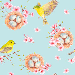 Seamless pattern with birds, nests and cherry blossoms. watercolor drawing.