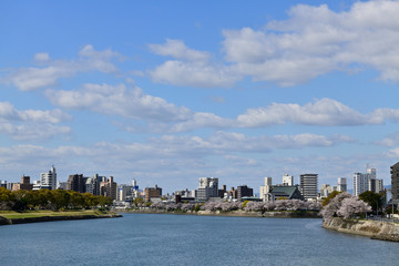 Obraz premium 桜並木のある広島の街並み