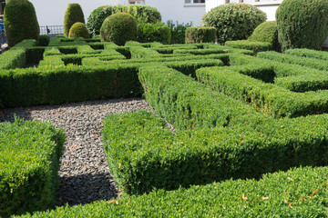 Geometrische Buchsbaumhecken - Labyrinth