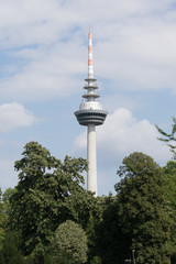 Im Mannheimer Stadtpark