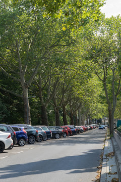 Parkplätze in der alten Platanen-Allee am Stadtpark