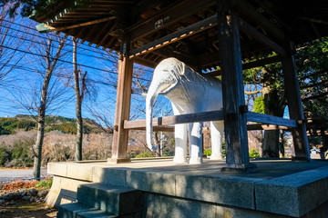 飯能市 観音寺 鐘楼の白象