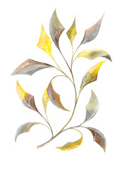 Yellow-beige branch: tender watercolor drawing, isolated.
