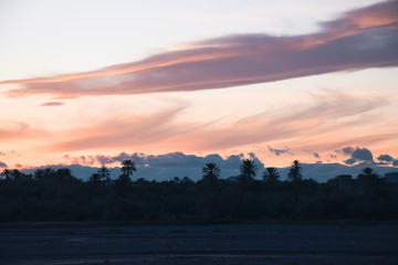 Atardecer en zona desértica con un cielo naranja y nubes difusas, y árboles. 