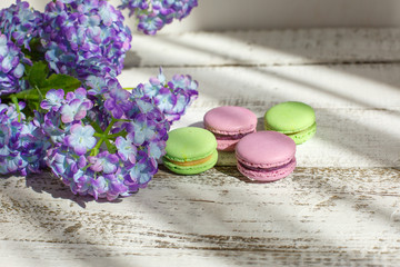 macarons and hydrangea morning light