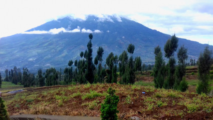 a photo of a landscape with a foggy mountain background in the morning and clouds that look elegant around it