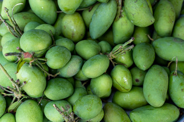 Fresh green  mangoes sold in the market.