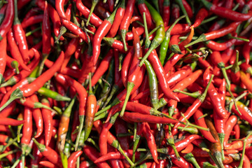 A pile of fresh peppers sold in the fresh market