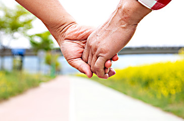middle-aged hands