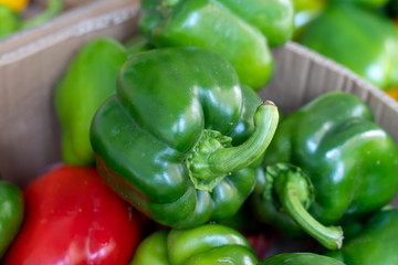 A pile of fresh peppers sold in the fresh market