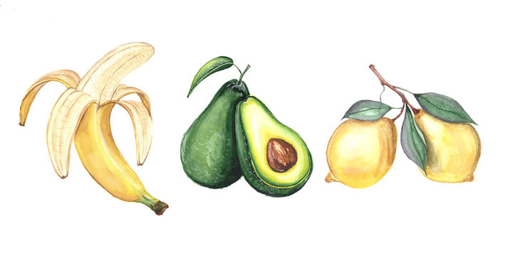 watercolor illustration of a banana, lemon and avocado on a white background