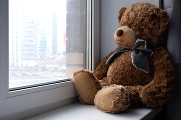 Curly bear in the window