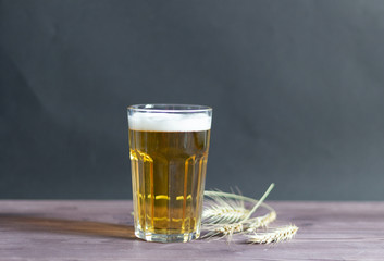 glass of beer on wooden table and barley ears